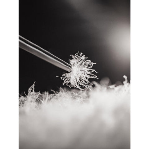 MADEN Corduroy Collar White Duck Down Jacket