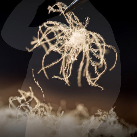 MADEN Damen Daunenjacke mit Stehkragen, 90 % Entendaunen, kurzer Steppmantel, Reißverschluss vorne, dick und warm, Winterjacke 