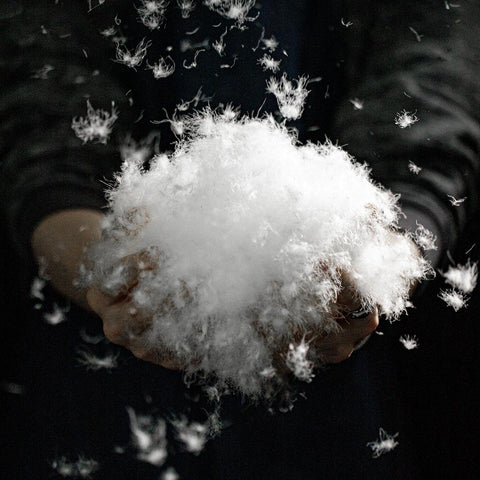 Doudoune décontractée pour homme MADEN, petit modèle à carreaux, col montant, chaude, garnie à 90 % de duvet de canard blanc, idéale pour l'automne et l'hiver (TW2401415) 